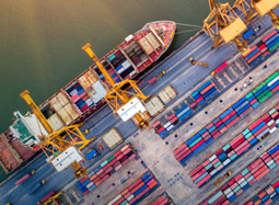 Văn bản xuất nhập khẩu - Thảo Nguyên Logistics - Công Ty TNHH Vận Tải Quốc Tế Thảo Nguyên